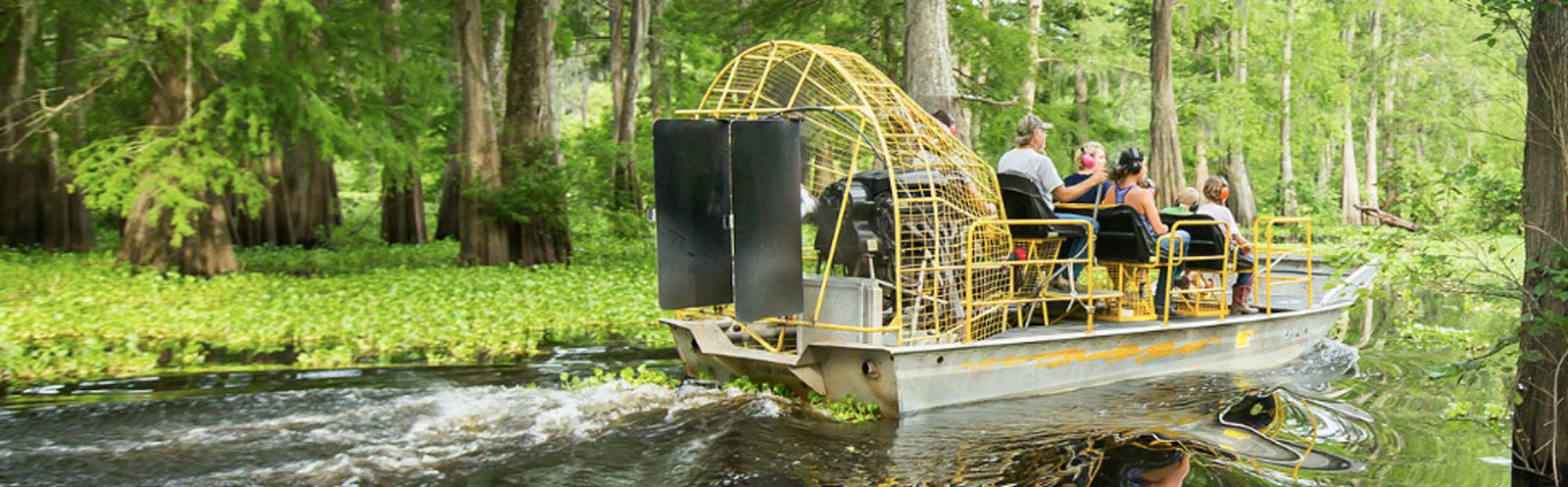 adventure swamp tours new orleans